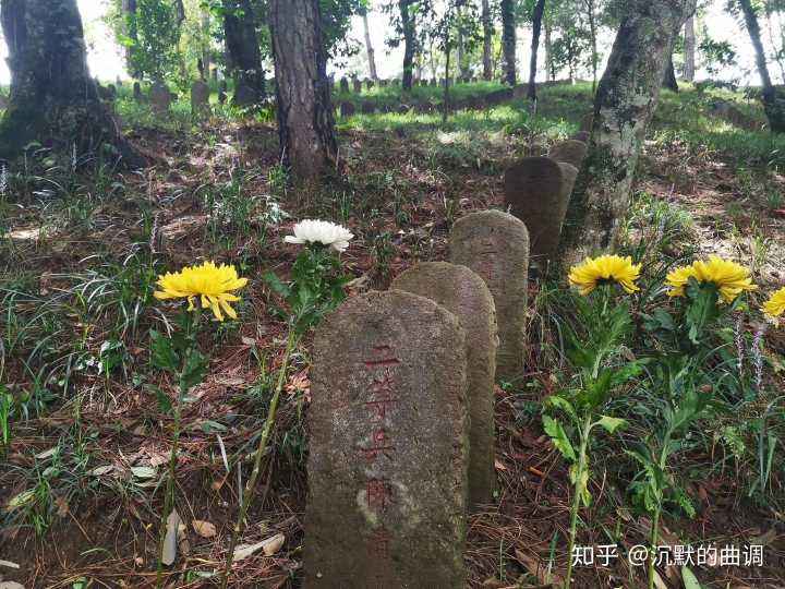 青山处处埋忠骨何须马革裹尸还的意思(青山处处埋忠骨何须马革裹尸还的意思是什么)