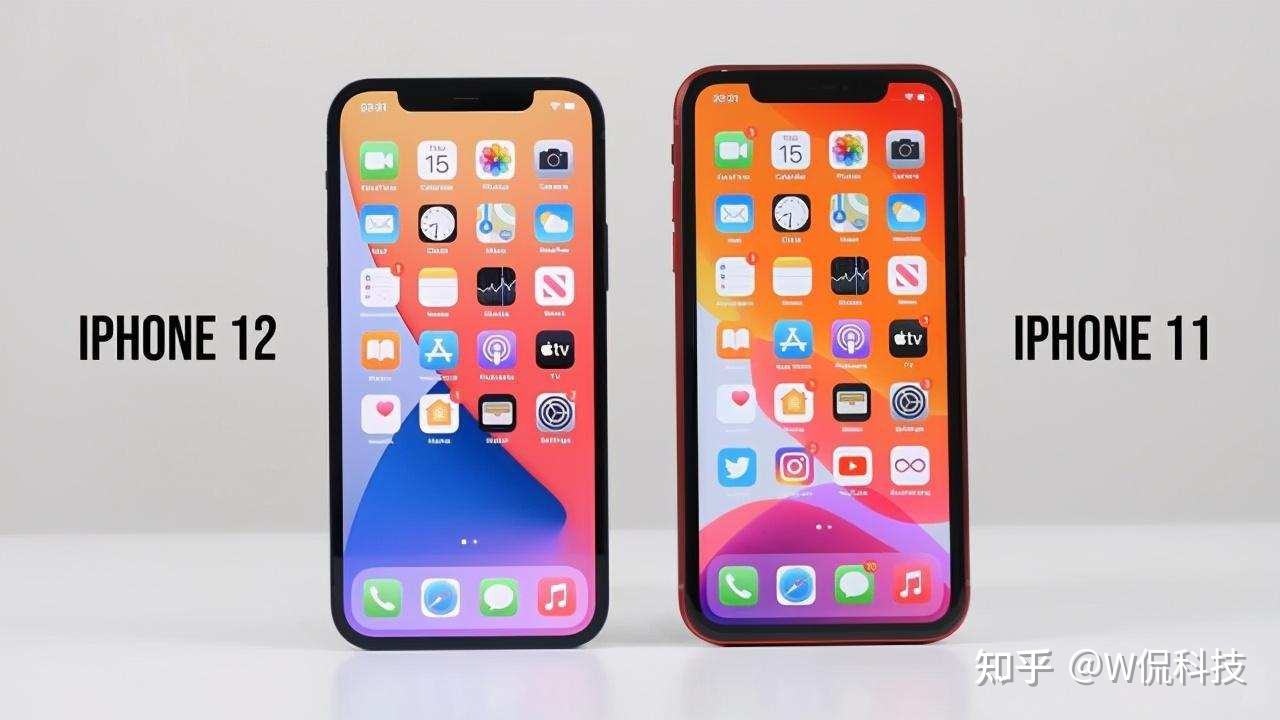 iphone11(iphone11尺寸大小)