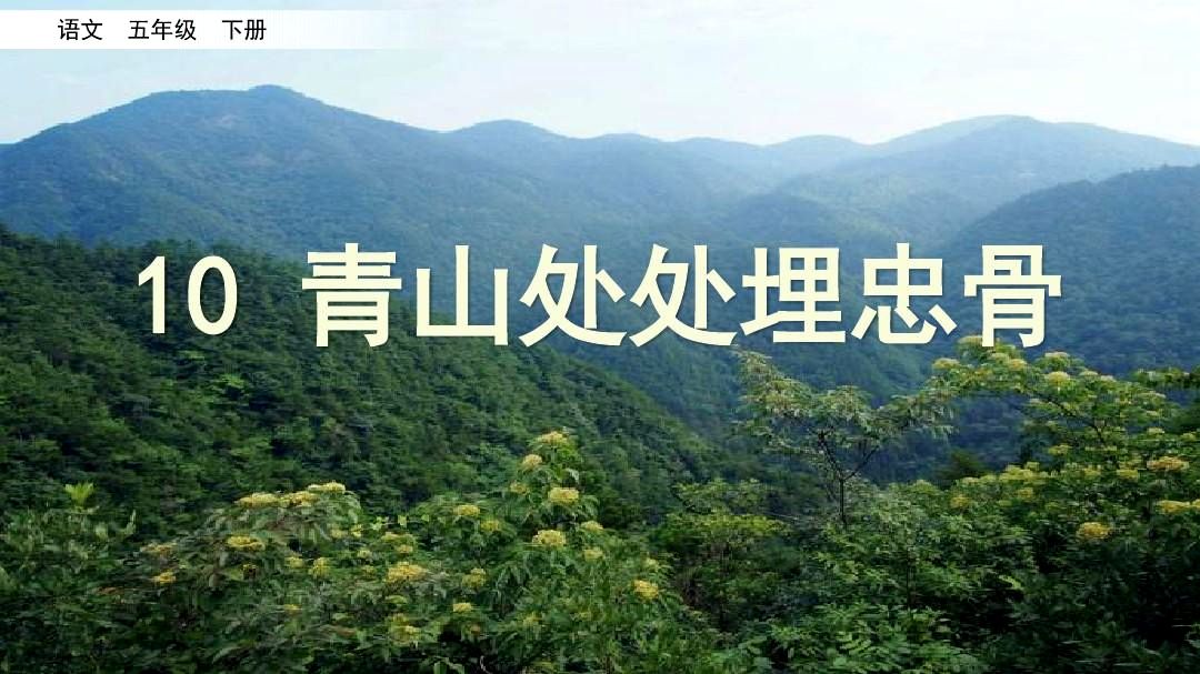 青山处处埋忠骨何须马革裹尸还的意思(青山处处埋忠骨何须马革裹尸还的,意思)